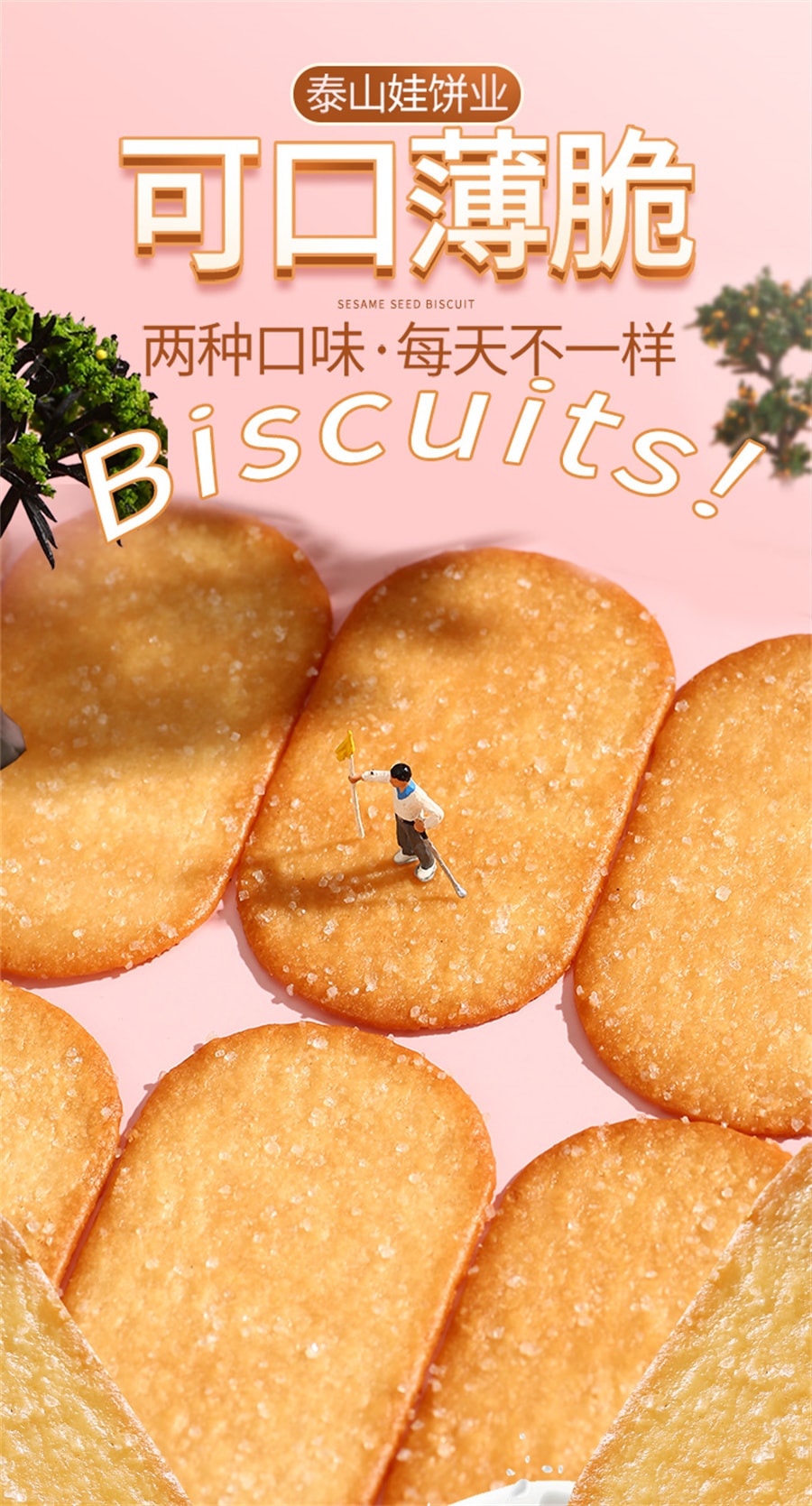 【中国直邮】 泰山娃 椰香椰奶味薄脆饼干充饥解馋休闲零食薄饼小吃整箱 325g*1盒