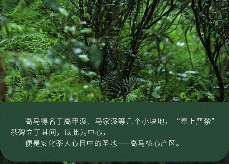 【美國現貨秒發】小師姐評茶 千兩茶餅高馬蒼卷 2019年安化黑茶茶葉 皇家貢茶 680克