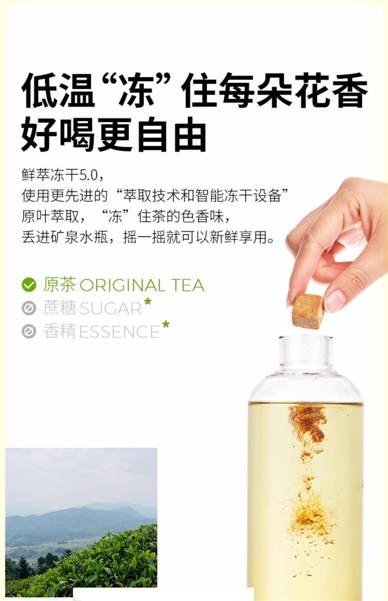 水獭吨吨 无糖茶 手冲茶 即溶 冻干 冷热 自制奶茶 饮料-乌龙茶 1盒*