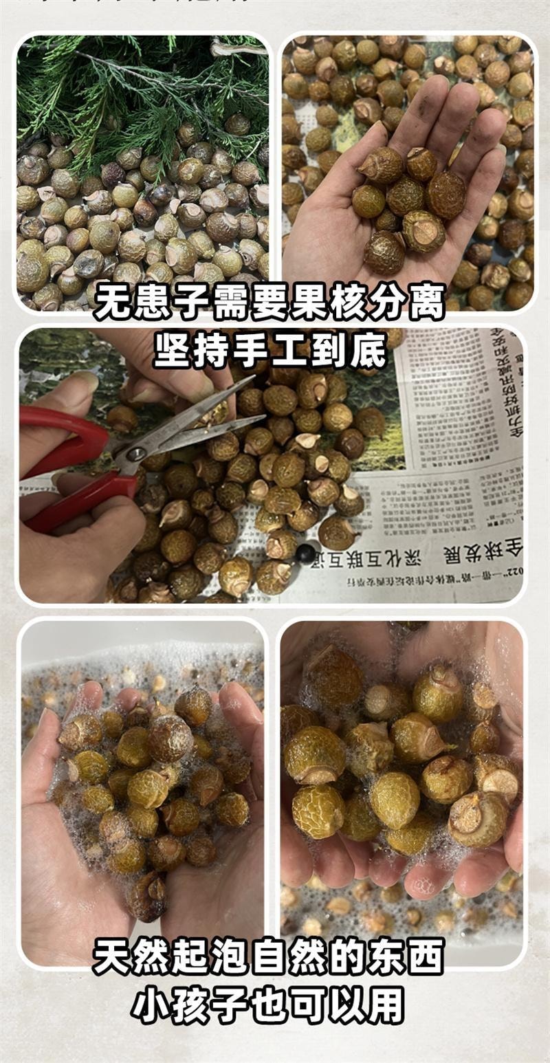 【中国直邮】 潮利 侧柏叶洗发水 去屑止痒控油生姜防脱生发纯草本洗发水500ml/瓶