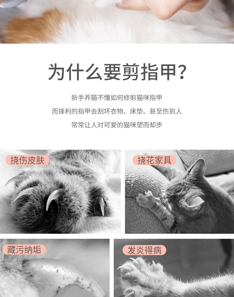 【中国直邮】华元宠具猫咪指甲剪刀专用指甲钳神器    指甲弯剪