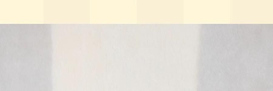 THE BEAST野兽派 旅行小憩套装 毯子帆布袋颈枕 熊猫嘭嘭PANDA POMPOM 