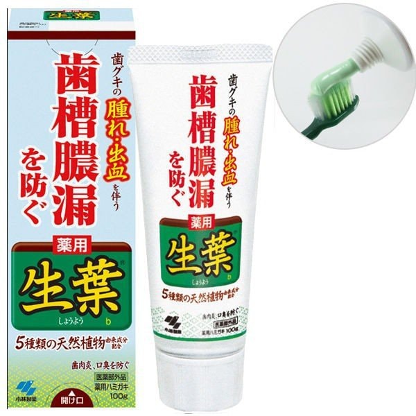 【日本直郵】日本KOBAYASHI 小林製藥 生葉天然植物牙膏 有效防止牙齦出血 腫痛 綠色裝 100g