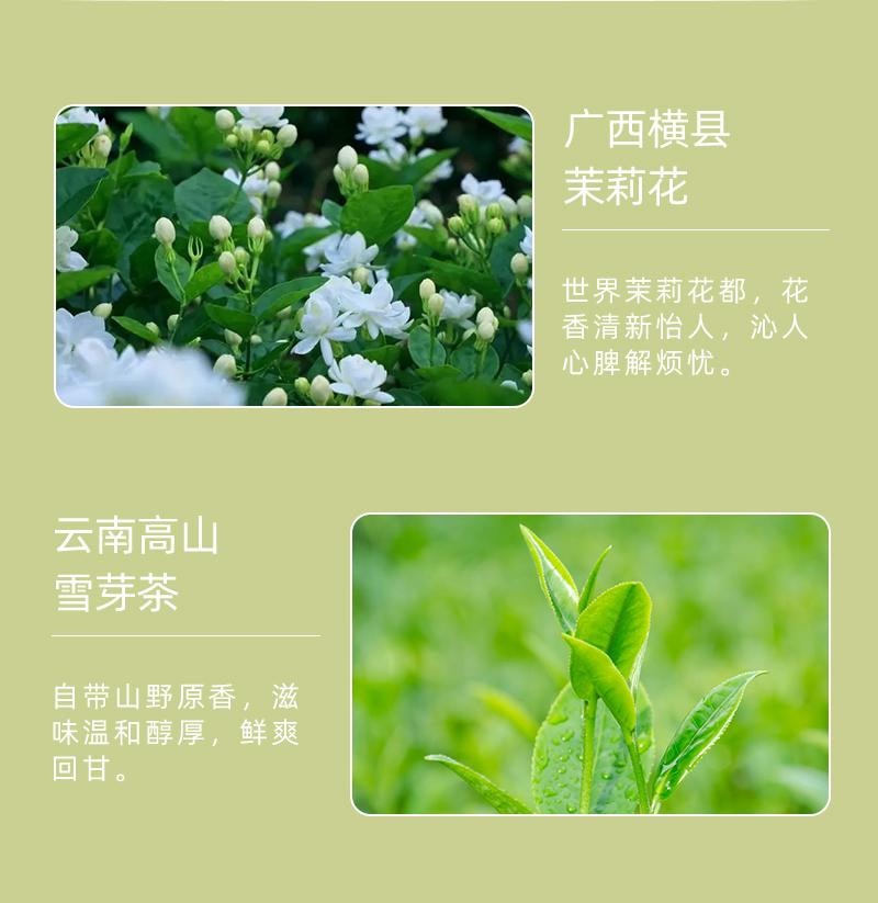 【中国直邮】 姚小茶 茉莉雪芽 伯牙绝弦茶 0加糖袋装奶茶粉春日冲饮 120g/盒(霸王茶姬同款)