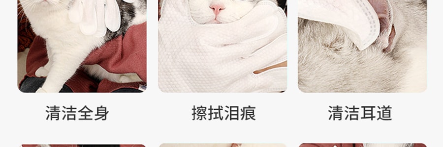 KOJIMA 香味SPA手套 4片 寵物洗澡沐浴 擼貓擼狗免洗手手套【櫻井梅子、白桃烏龍、青梅綠茶、生打椰香型】