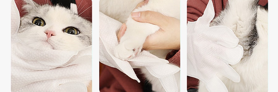 KOJIMA 香味SPA手套 4片 宠物洗澡沐浴 撸猫撸狗免洗手手套【樱井梅子、白桃乌龙、青梅绿茶、生打椰香香型】