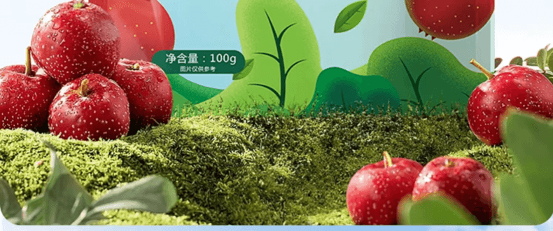 其嘉 小奶花 山楂有芝士奶块 100克 奶皮山楂 优质奶源 酸甜可口