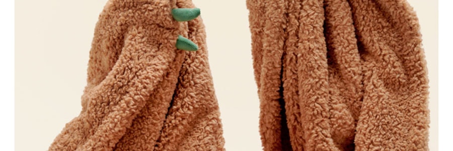 躺島 熊抱小熊披毯毛毯 室蓋毯居家辦公舒適保暖毯 熊仔毯-棕棕熊