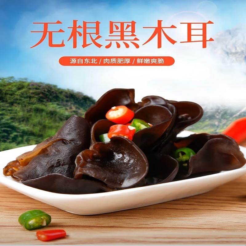 【中國直郵】 古松 黑木耳肉厚無根泡發率高涼拌炒菜火鍋食材特產乾貨高品質原生態 精選黑木耳250g