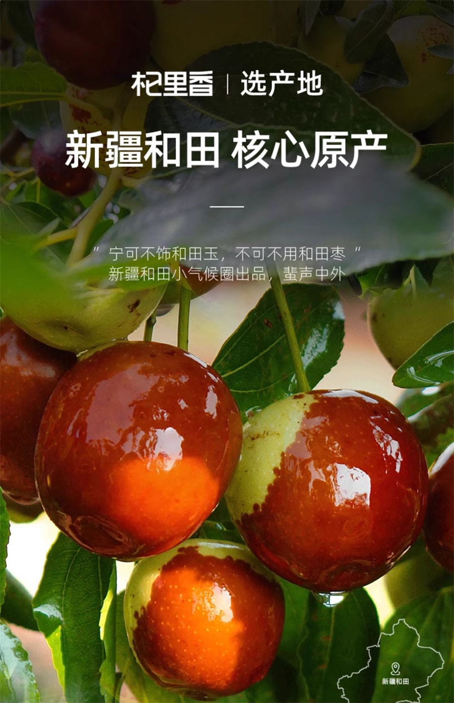 【中國直郵】杞里香 寧夏紅棗大棗子煲湯用非和田大棗若羌灰棗乾零食 250g
