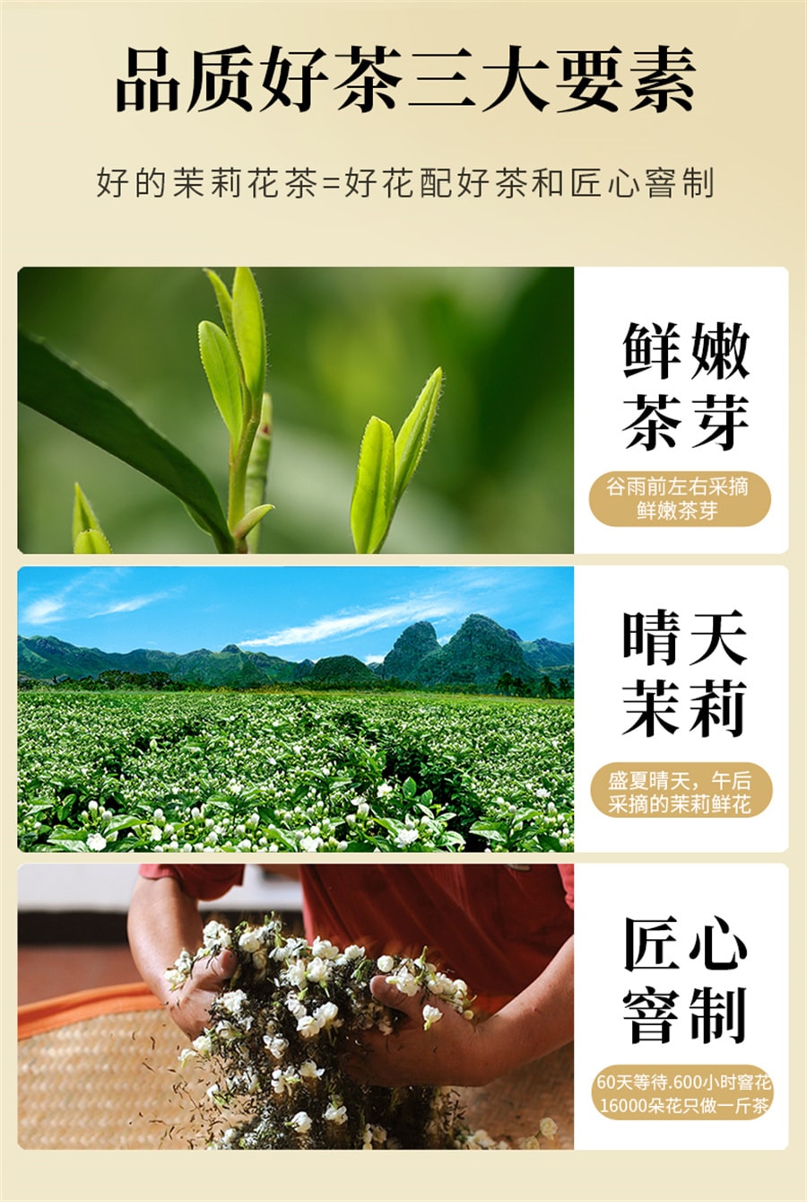 【中国直邮】一杯香   2023新茶茉莉花茶横县花草茶绿茶茶叶  250g/罐
