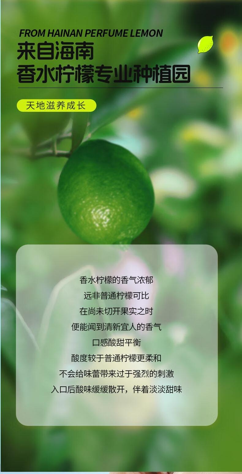 【中国直邮】 虎标   冻干香水柠檬片冷泡 水果茶 泡水泡茶 50g独立包装