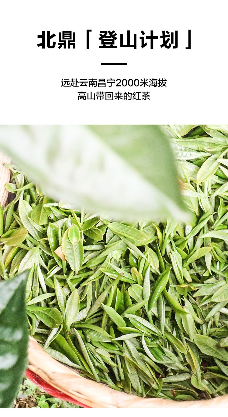 Yunnan premium tea 10 bags