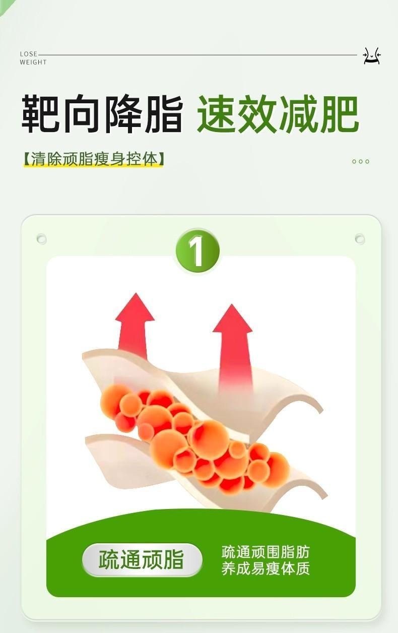 【中國直郵】 嘉臣健 扶芳茶 減肥茶刮油茶 去濕氣排油全身瘦肚子 減脂 瘦身 燃脂 排油 10袋/盒