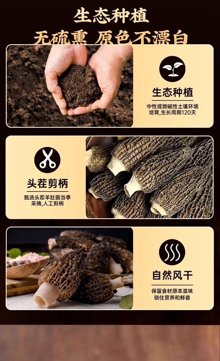 【中国直邮】 醉语阁 头茬羊肚菌  山珍干货滋补精 菌菇炖鸡煲汤材料 火锅食材 1 包
