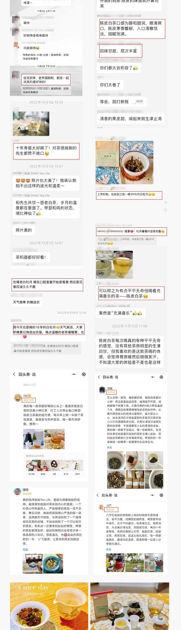 「專為喝茶設計」保冷保溫 燜茶壺 保溫杯 內含茶漏 便攜茶具12小時保冷保溫 480ml 薄荷綠