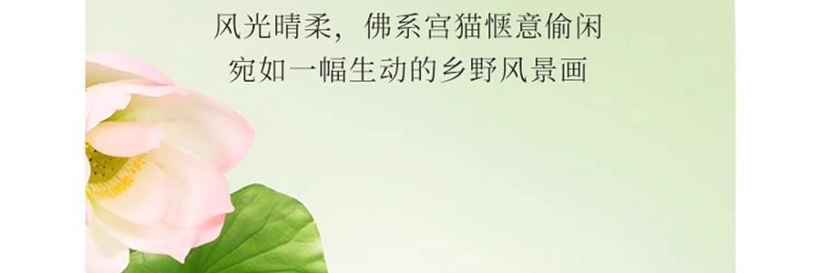 故宫文创 无火香薰 扩香石礼盒套装 心平气荷礼盒 