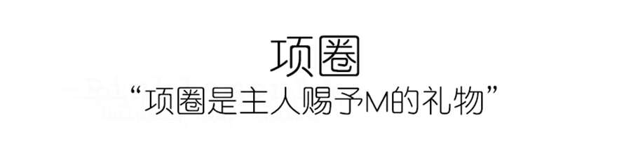 BDSM Iridescent Professional Training Bondage Set with Lead Chain and Paddle