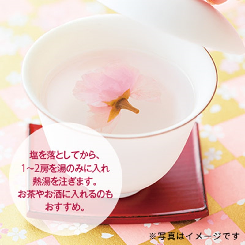【日本直邮】日本LUPICIA绿碧茶园 2022年春季限定 樱花盐渍茶 20g