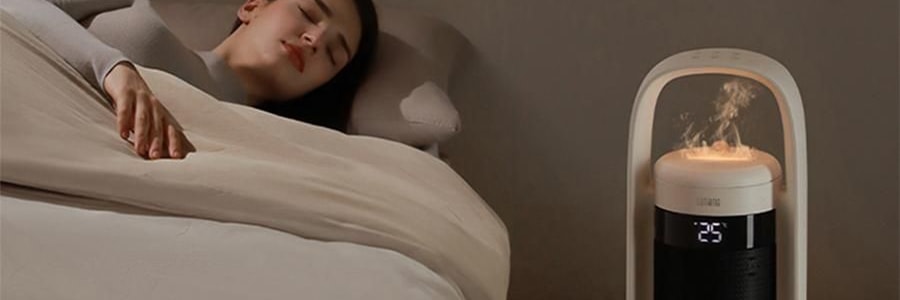 向物SOTHING 暖风机取暖器 全屋大面积电暖器 加湿取暖两用 行星