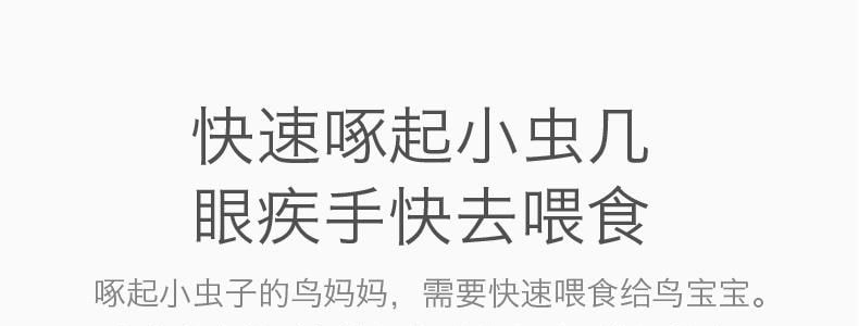 BC BABYCARE 儿童益智玩具 亲子互动游戏道具 啄木鸟捉抓虫子