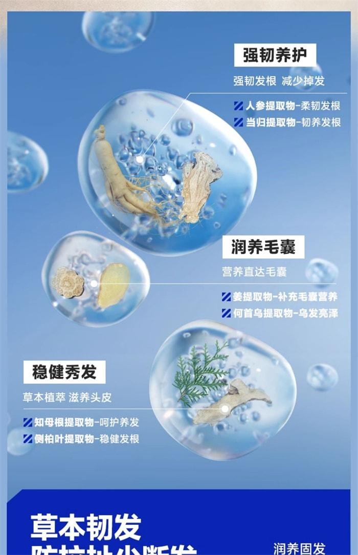 【中国直邮】 海洋至尊 强韧健发洗发水 男士生姜固育发去屑止痒300ml/瓶