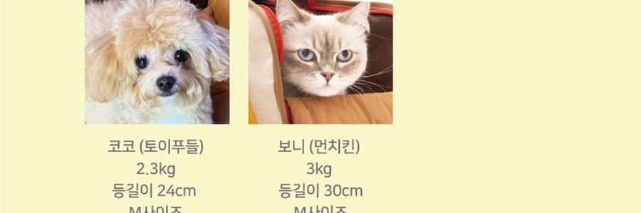 韓國ICANDOR IBAG 時尚撞色寵物外出包 寵物便攜包手提包 一包多用 奶油色 L 44*20cm