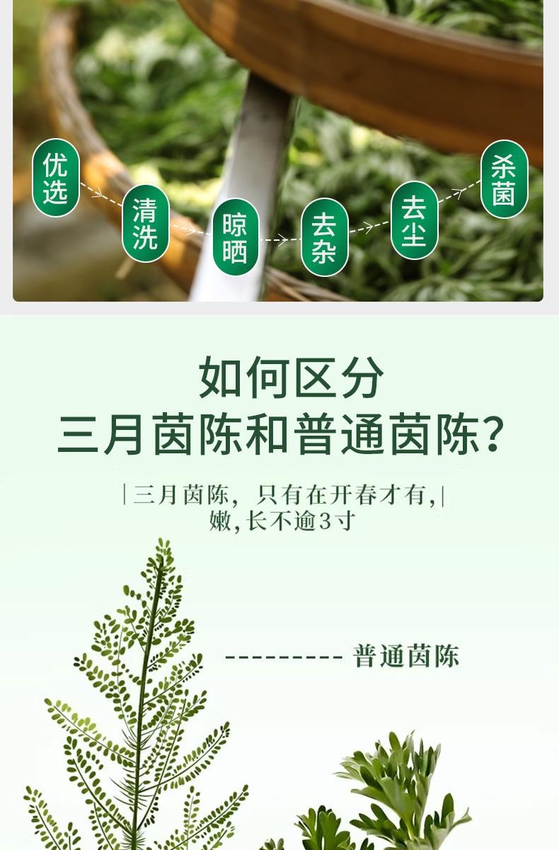 【中国直邮】 关东礼 茵陈草30包/袋中药材三月茵陈野生嫩芽新鲜干茵陈白蒿茶泡水正品