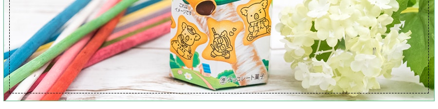 日本LOTTE樂天 無尾熊系列餅乾 巧克力口味 48g