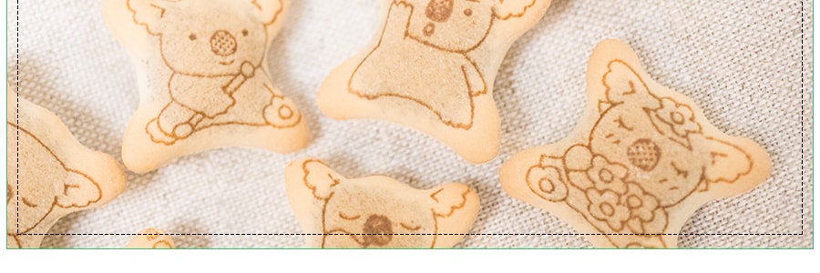 日本LOTTE樂天 無尾熊系列餅乾 巧克力口味 50g