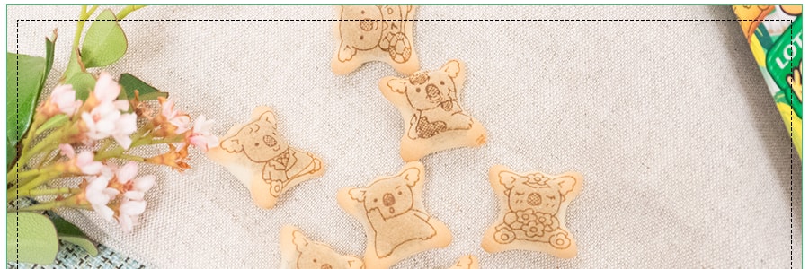 日本LOTTE樂天 無尾熊系列餅乾 巧克力口味 50g