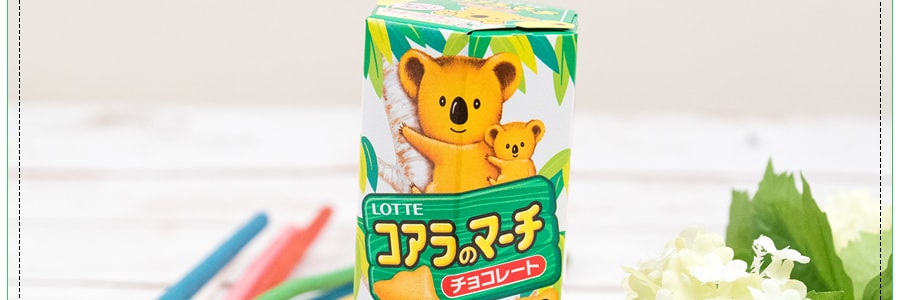 日本LOTTE樂天 無尾熊系列餅乾 巧克力口味 48g