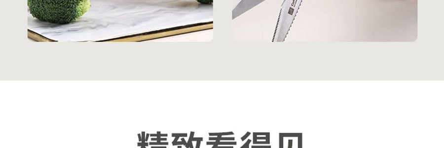 卡特馬克 維納斯系列貝殼套刀 刀具套組 菜刀水果刀廚師刀刀座剪刀5件套