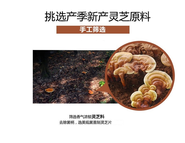 【中国直邮】北京同仁堂灵芝片350g 赤灵芝切片