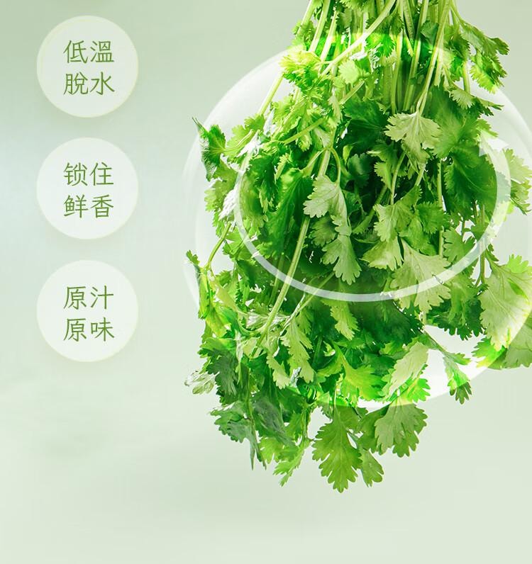 【中国直邮】 鲜窝窝 脱水香菜干 香菜叶香菜碎脱水蔬菜干菜泡面伴侣调味汤料1g*50袋