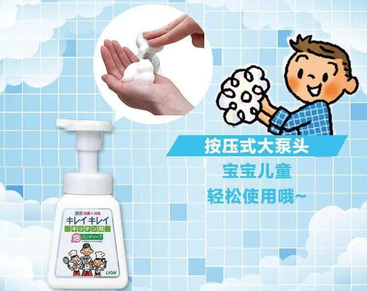 日本 LION 狮王 美丽药用厨房泡沫洗手液 230ml