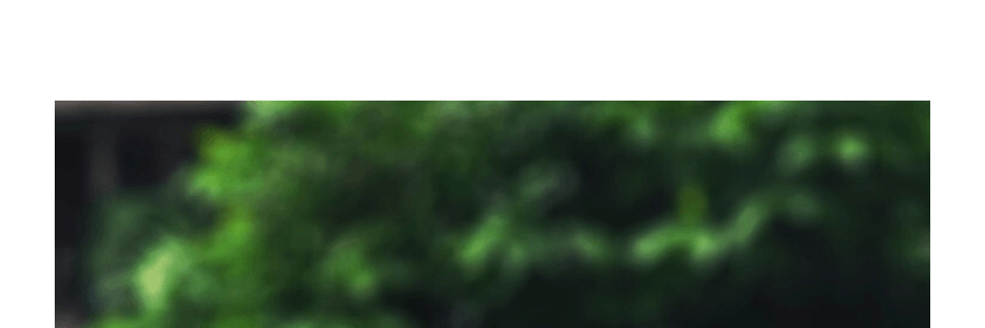 日本ITOEN伊藤園 大麥茶 405g 沖泡即飲 冷熱皆宜 冷飲清爽