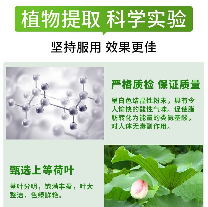 lotus leaf extract and l-carnitine green tea capsules 60 capsules Lotus Leaf (Certified Organic) -