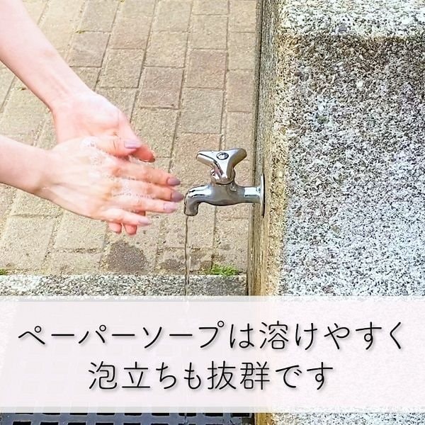 【日本直郵】九州Flower service 紙片式殺菌消毒 便攜洗手皂 30枚入