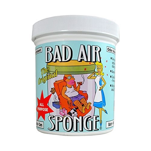 Air Odor Absorbent