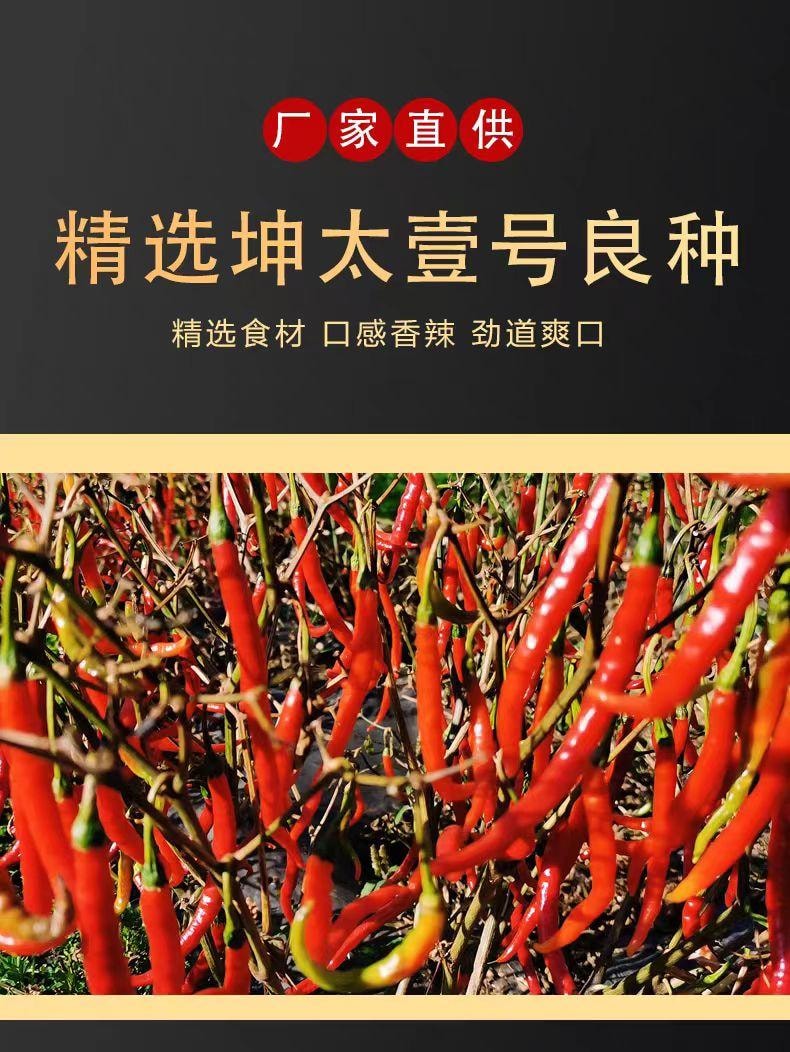  A1 中國 坤太麻辣沾水沾料100g【雲南燒烤辣椒粉】