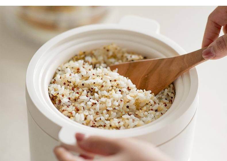 OLAYKS 1.2L 宿舍 宿舍神器迷你电饭煲1到2人一人电饭锅小型 不带蒸笼 电压110V-120V通用