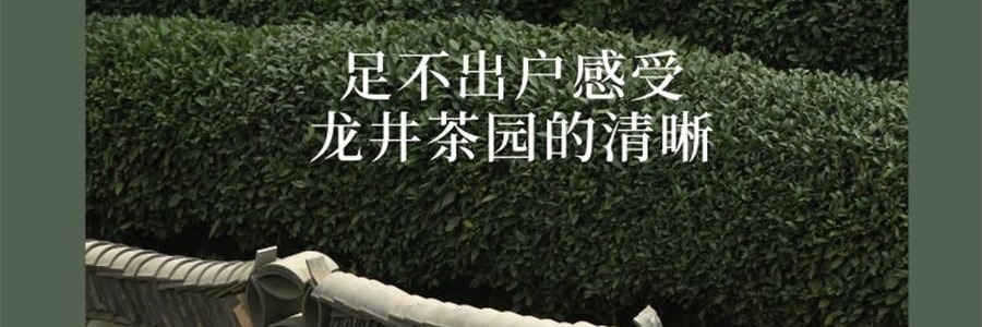 宋朝 冷山系列扩香石套装摆件 高级香氛 送礼好物 容器*1 晶石*1袋 精油*1 花间漫步