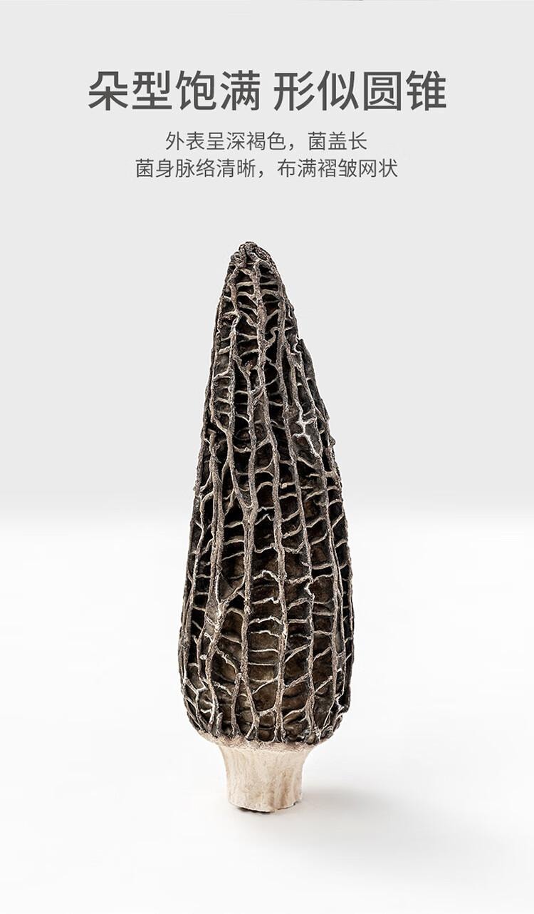 【中国直邮】 方家铺子 云南羊肚菌  山珍菌菇干货 煲汤火锅食材 60g