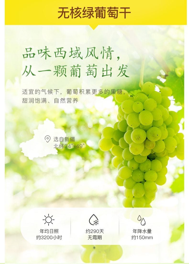 中國 百草味 無核綠葡萄乾甜潤飽滿自然營養100g/袋