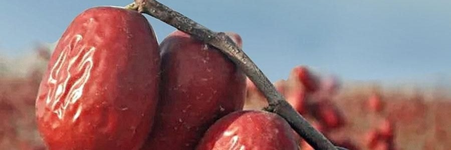 维汉 黑蜜枣 200g【山姆同款】【健康0添加】