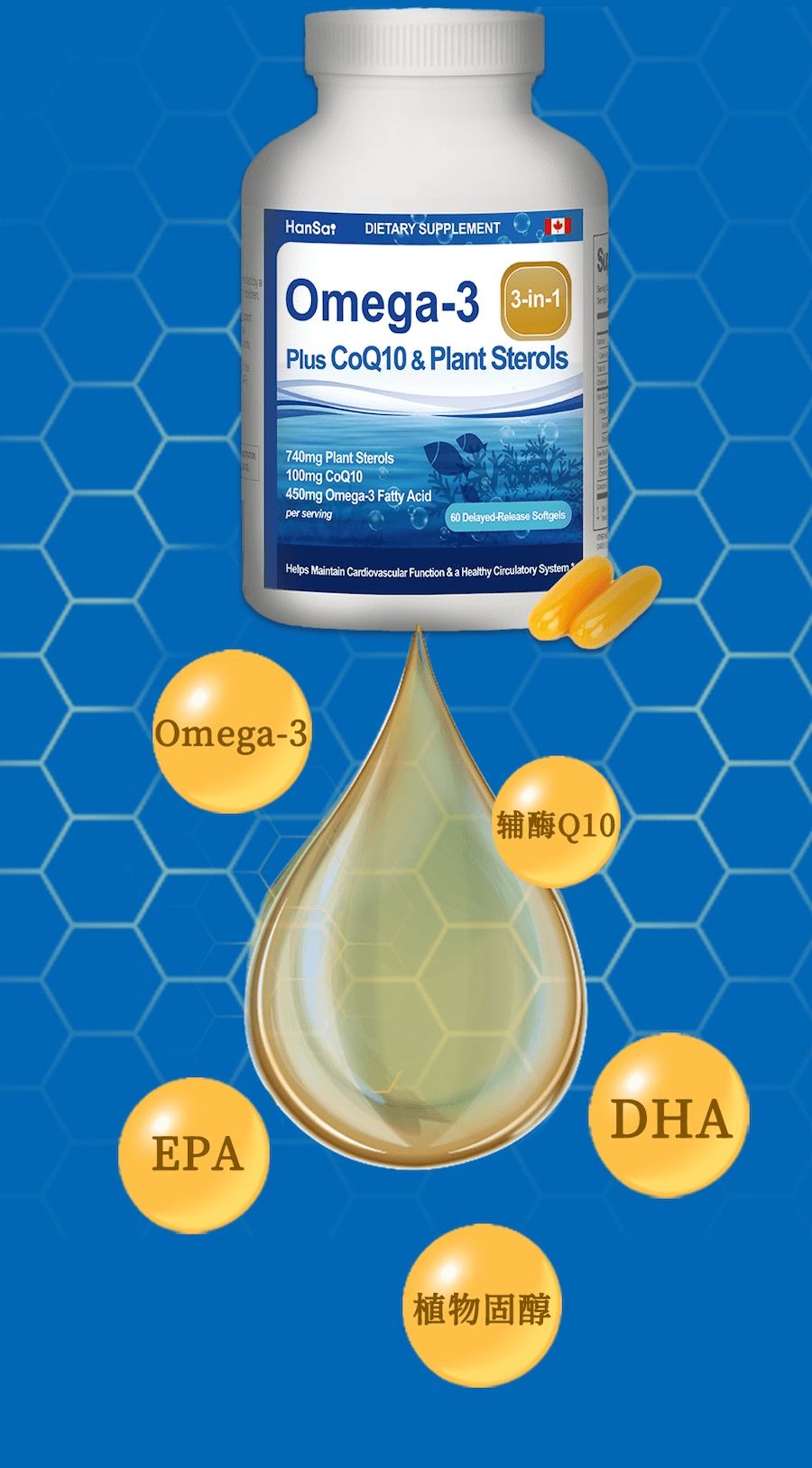 【加拿大制造🇨🇦】UMEKEN 【深海鱼油+辅酶Q10+植物固醇】 60粒【优选深海鱼油🐟】【 EPA+DHA双重护心增强心血管活力💓】【搭配辅酶Q10+植物固醇清血脂、护血管✨】