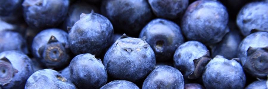 日本小林製藥 藍莓精華顆粒 60粒入 保護視力緩解眼幹預防眼疾