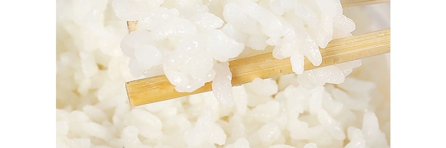 韓國OTTOGI / OTOKI不倒翁 微波2分鐘即食米 210g*5盒【超值裝】