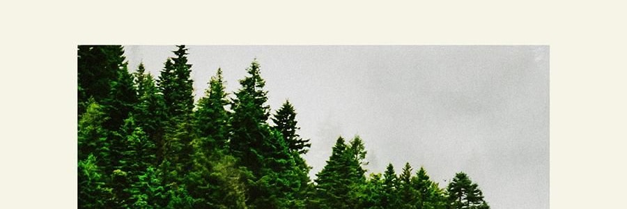 QILI其裡 車用香氛 清冷花香調 矽膠背夾易安裝 霧與蓮 3g*2